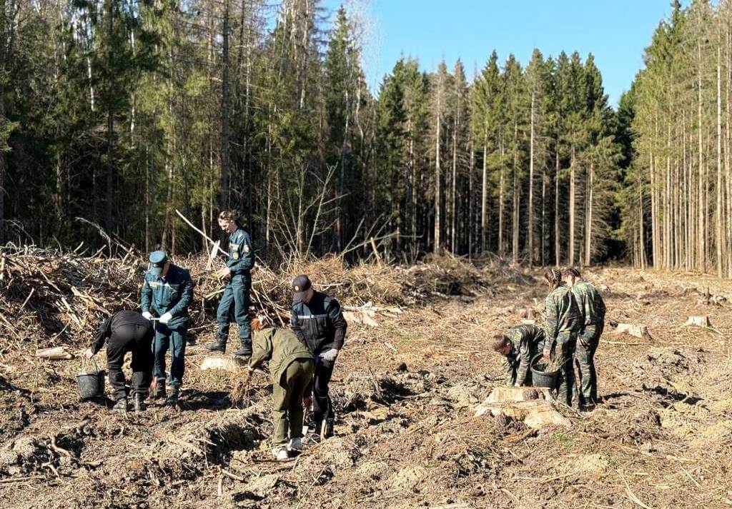 Акция МЧС «Дай лесу новае жыццё!»  Барановичи ГРОЧС